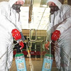 Pest Control
